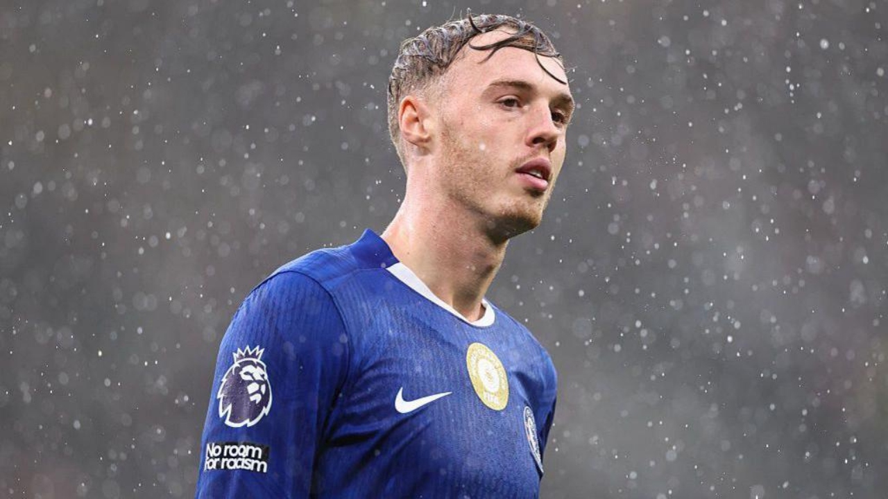 কোল পালমার। ছবি : সংগৃহীত