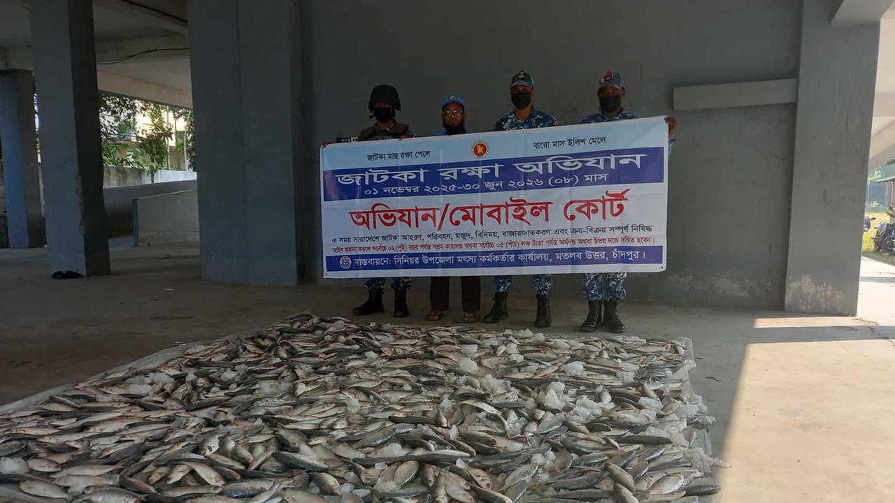 যাত্রীবাহী গাড়ি থেকে বিপুল জাটকা জব্দ