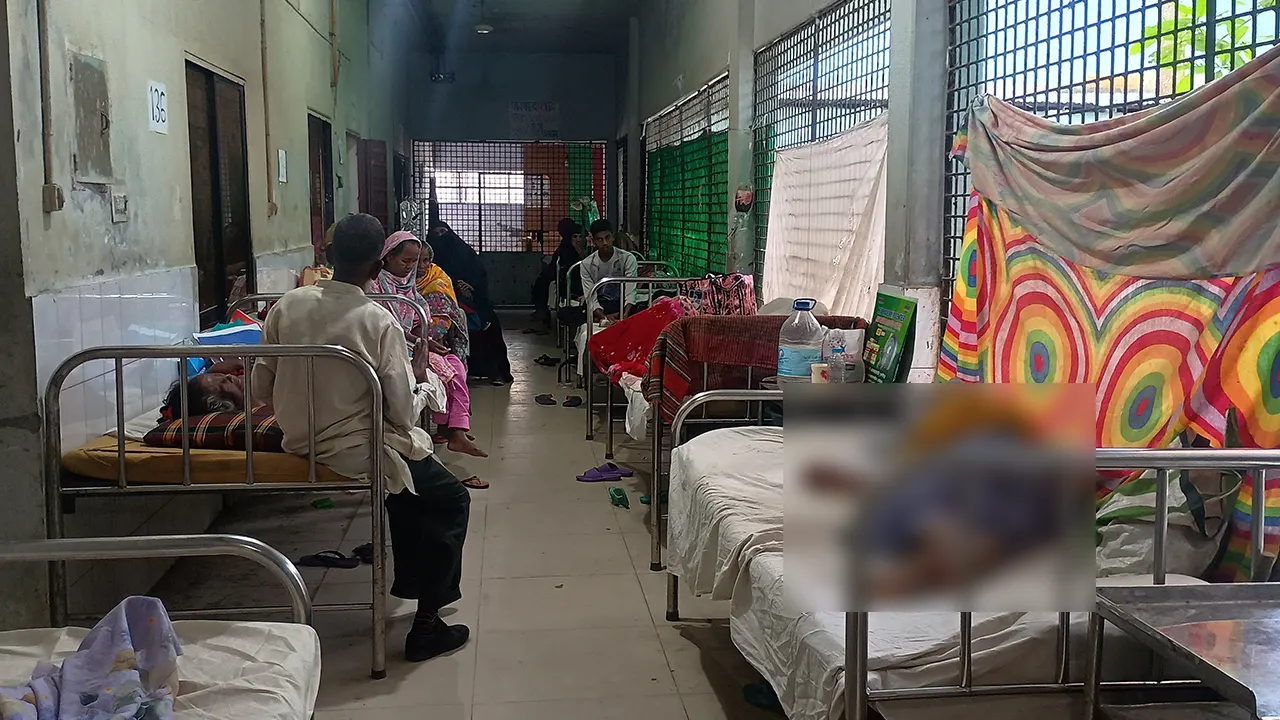 মশার উপদ্রবে অতিষ্ঠ নওগাঁ পৌরবাসী, বেড়েছে ডেঙ্গু রোগী