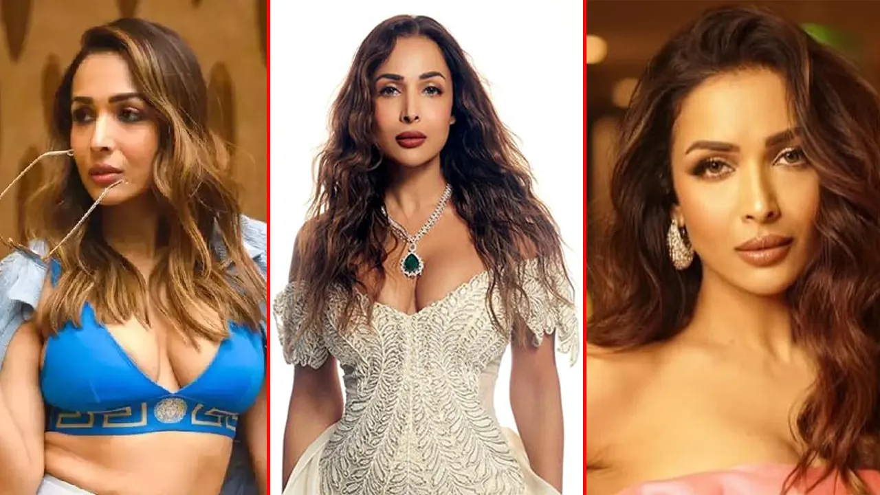 আবারও মালাইকার প্রেমের গুঞ্জন