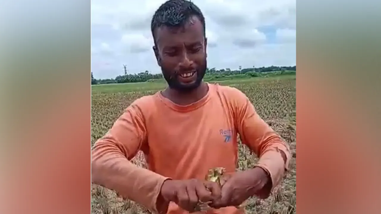 ফরিদপুরে ব্যাঙকে নির্মমভাবে হত্যার ভাইরাল ভিডিও, তদন্তে প্রশাসন