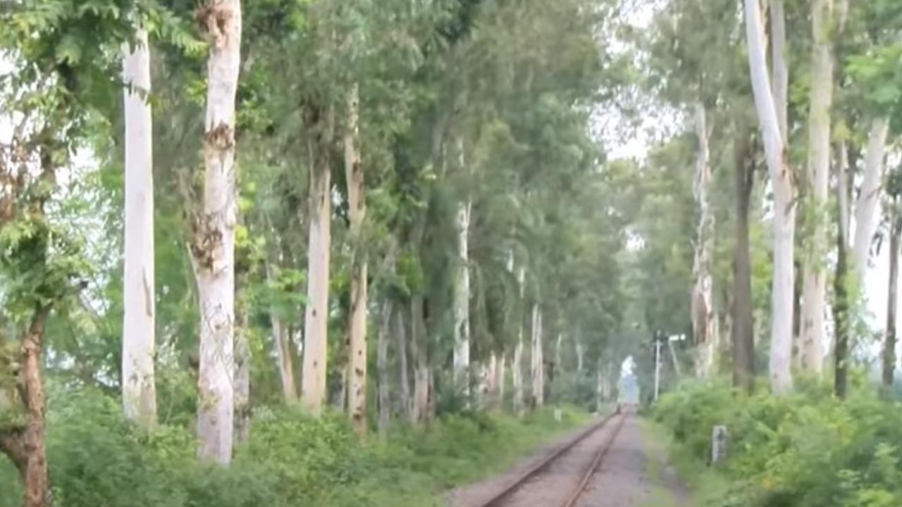 ঝুঁকির মুখে ৭১ কিমি রেলপথে ট্রেন চলাচল 