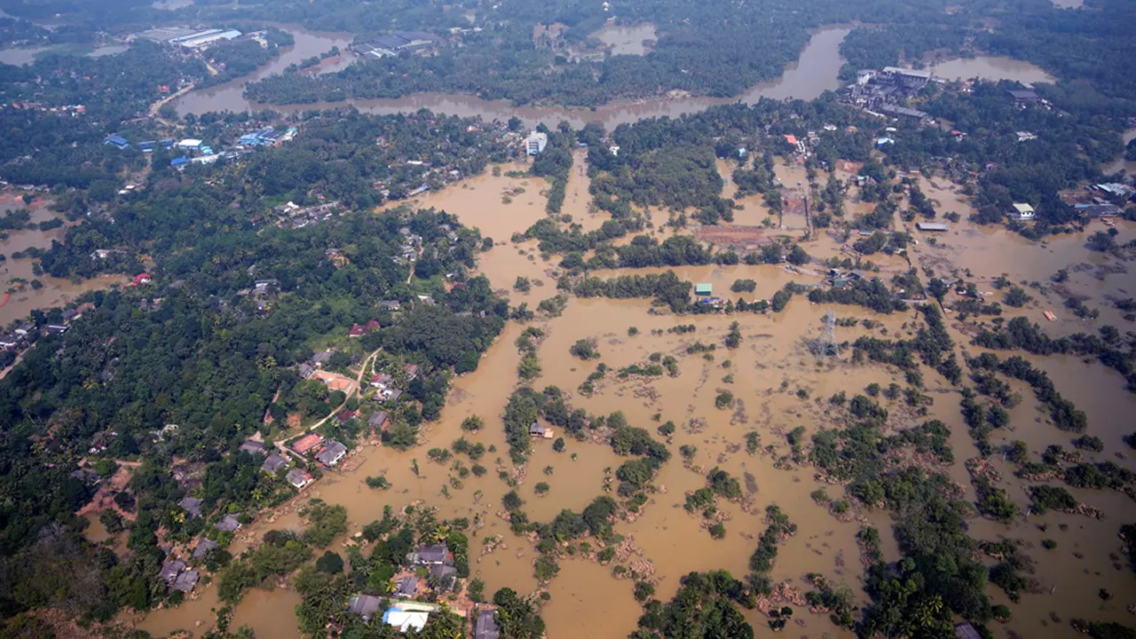 ছবি : সংগৃহীত
