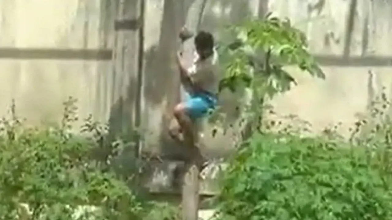 ছবি : সংগৃহীত