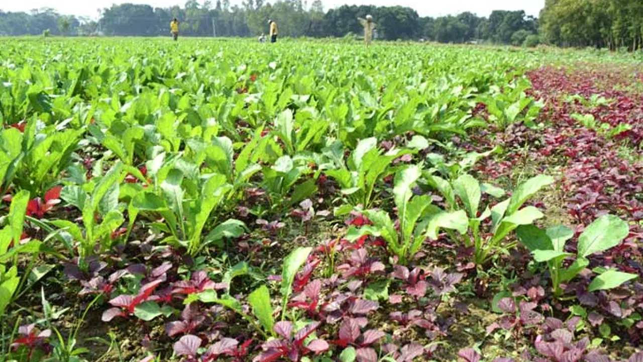 প্রতীকী ছবি