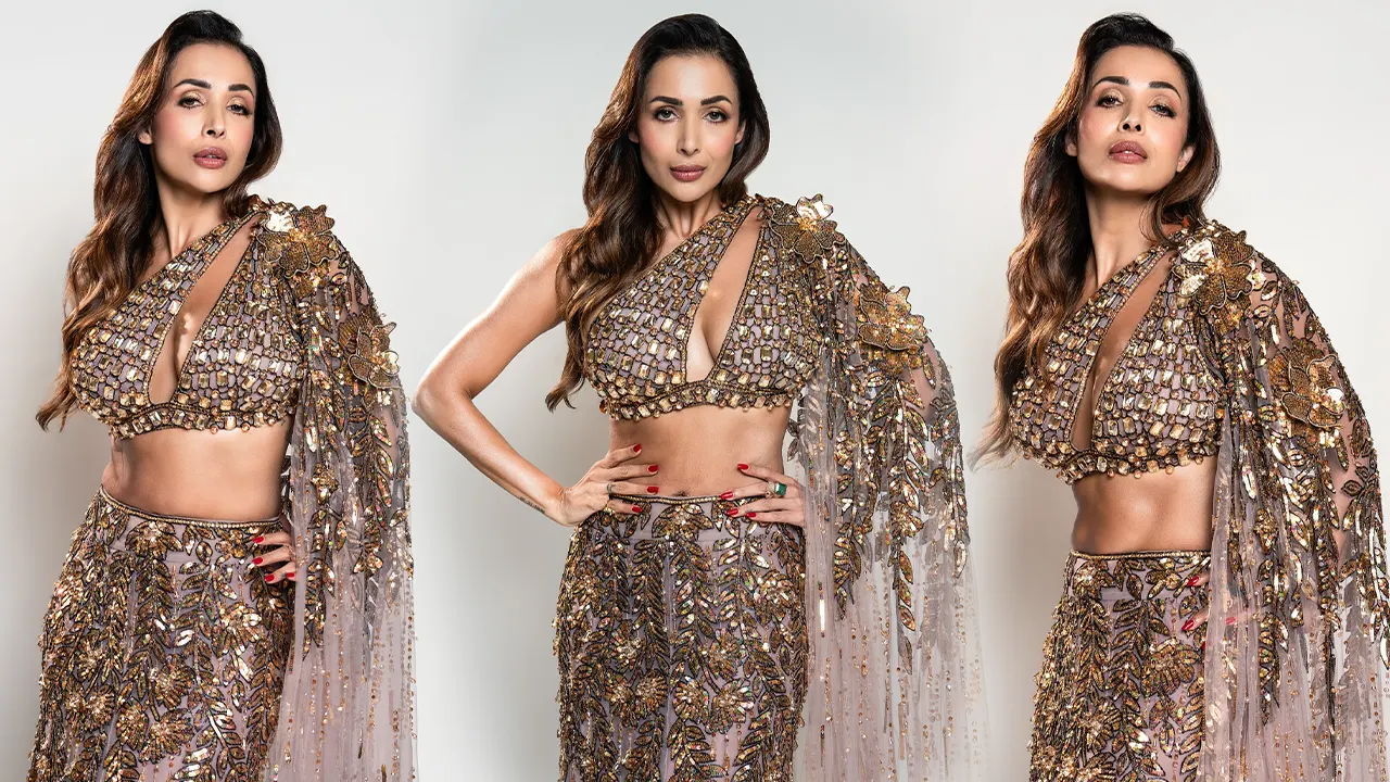 মালাইকার বিস্ফোরক মন্তব্য