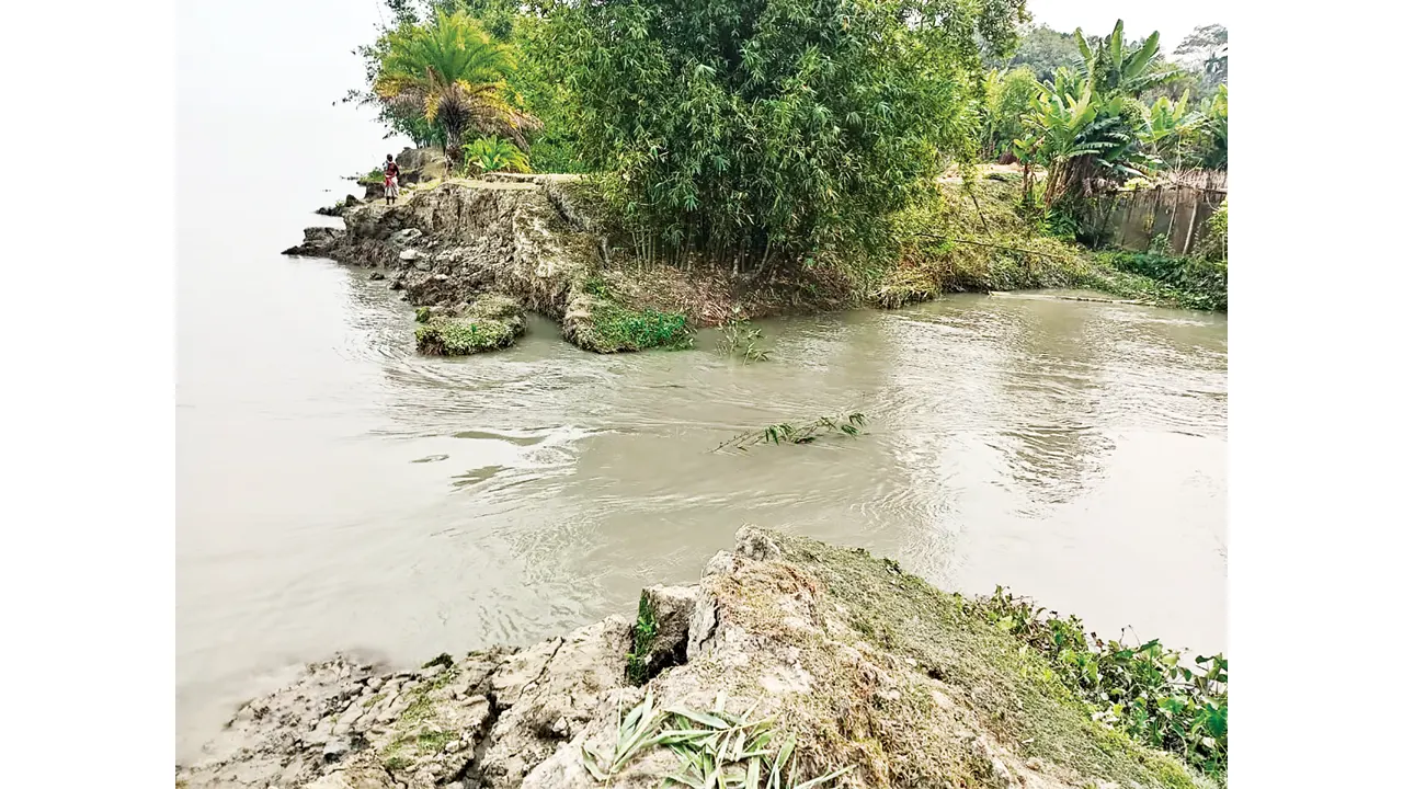 বাঁধ ভেঙে পানির নিচে আমনক্ষেত