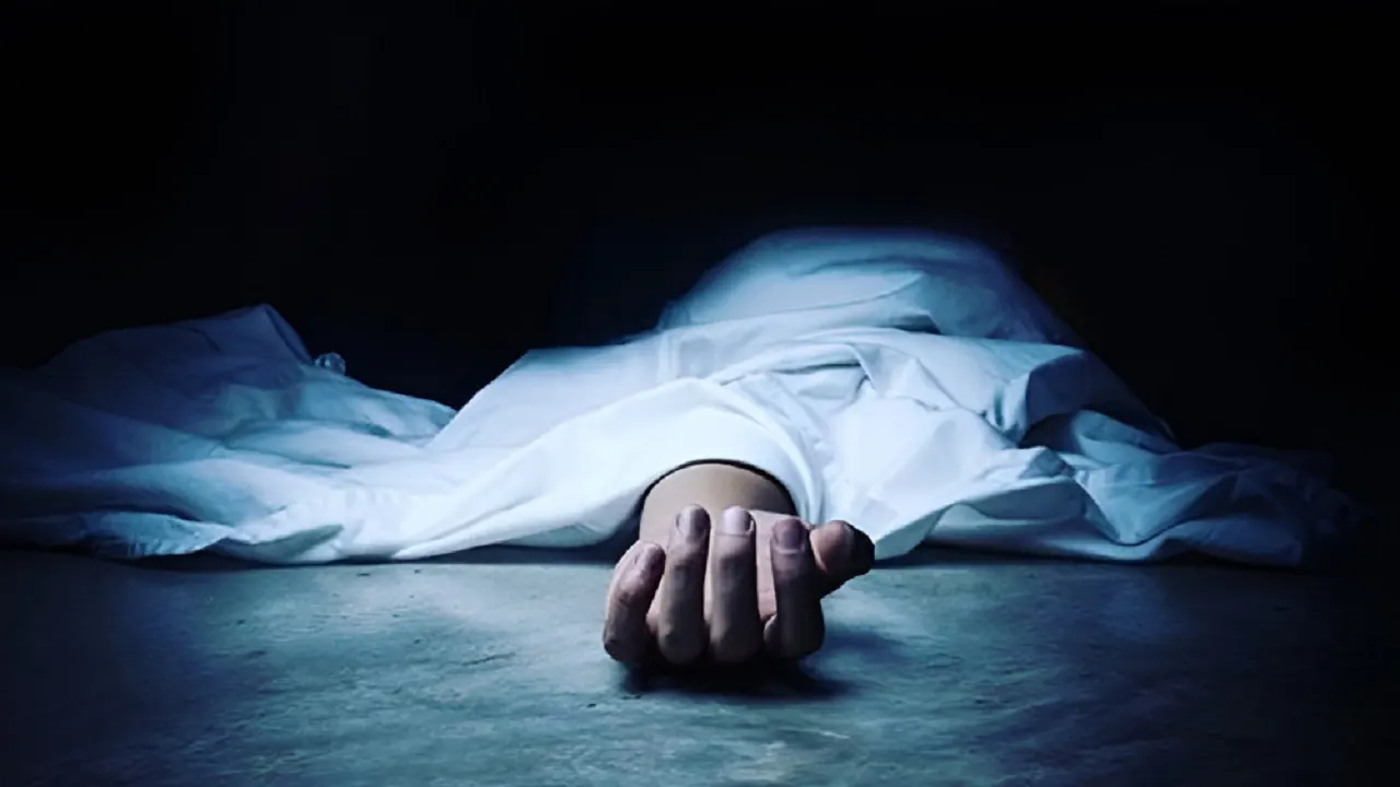 ছবি : সংগৃহীত