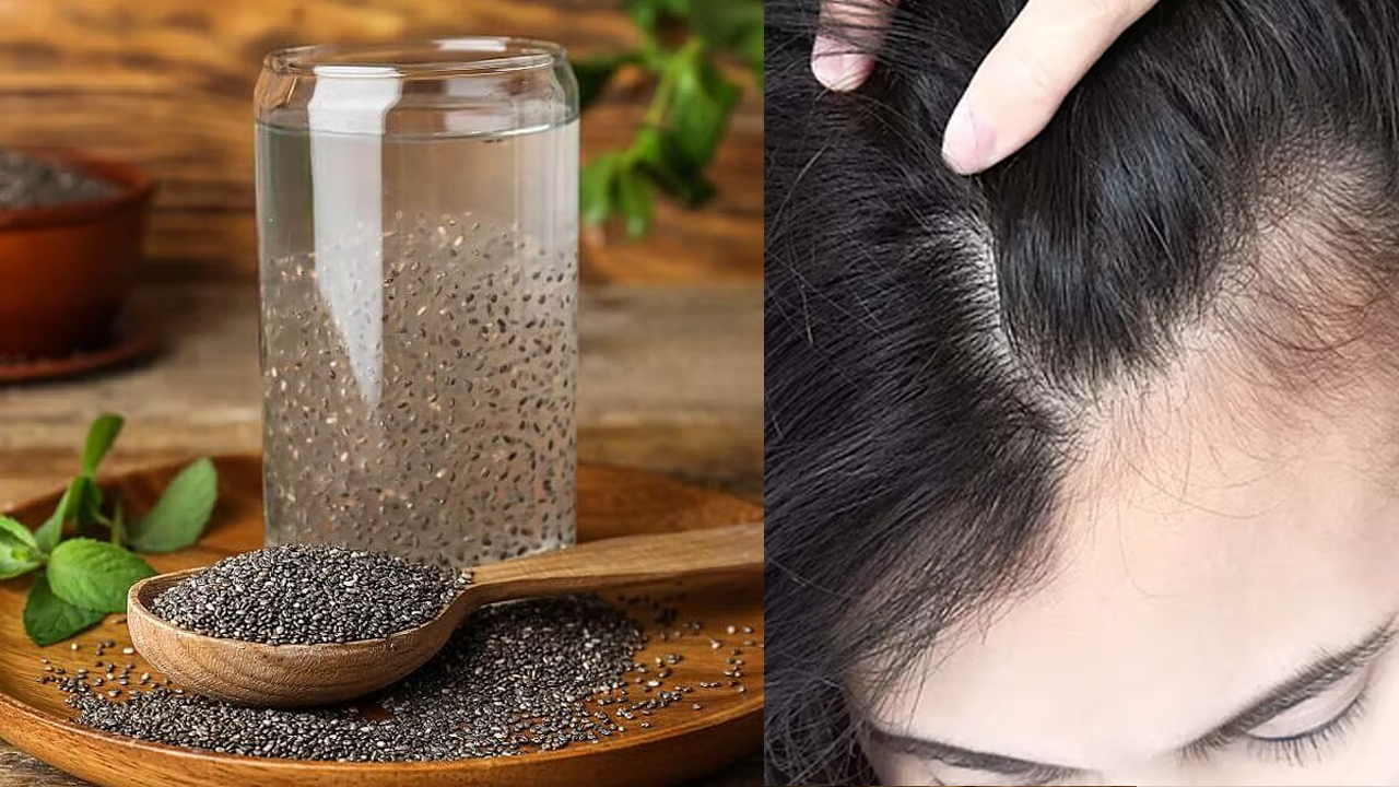 নতুন চুল গজানোর জন্য চিয়া সিড খাওয়ার সঠিক সময় কখন? 