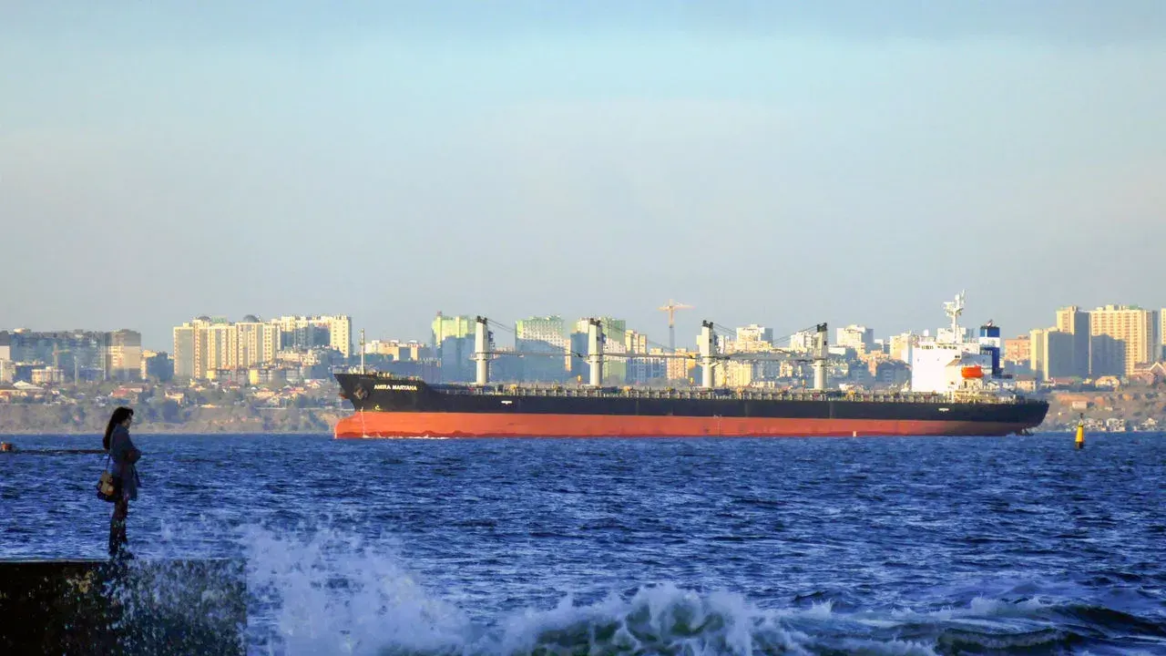 সমুদ্রে চলাচলরত জাহাজ। ছবি: সংগৃহীত