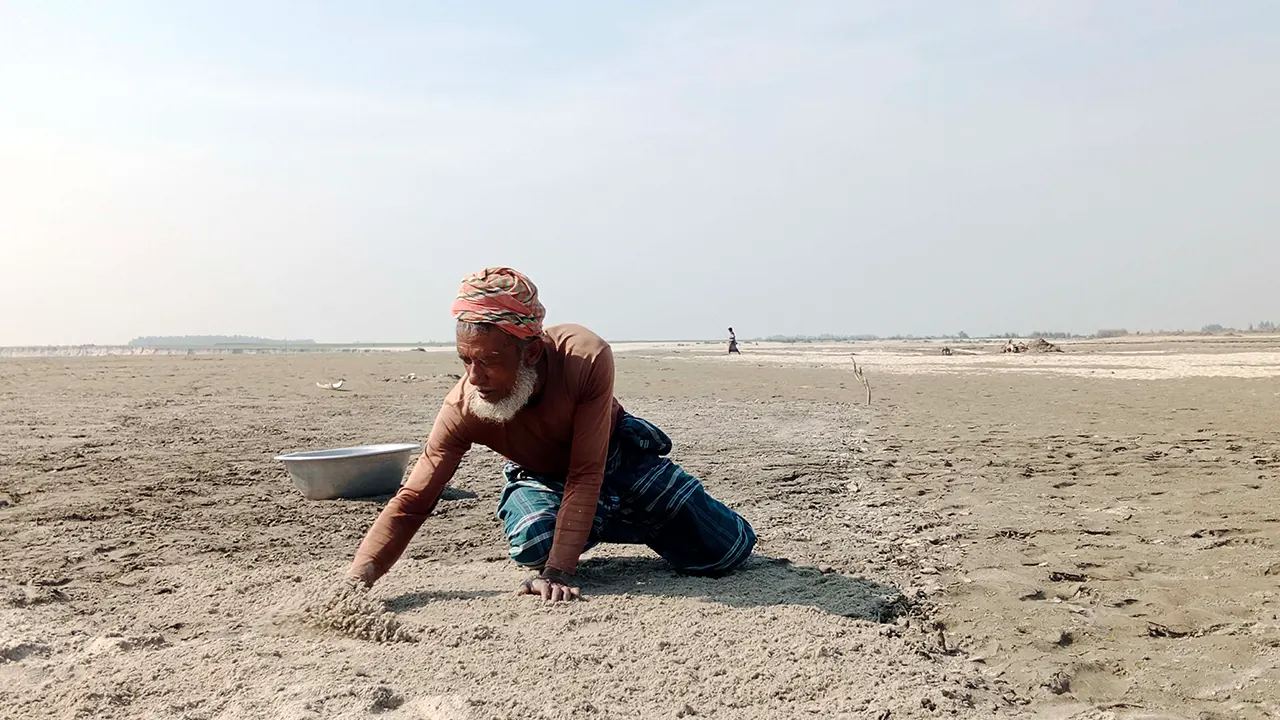 কুড়িগ্রামের চিলমারীতে জেগে ওঠা বালুচর প্রস্তুতিতে কাজ করছেন কৃষকরা। ছবি : কালবেলা