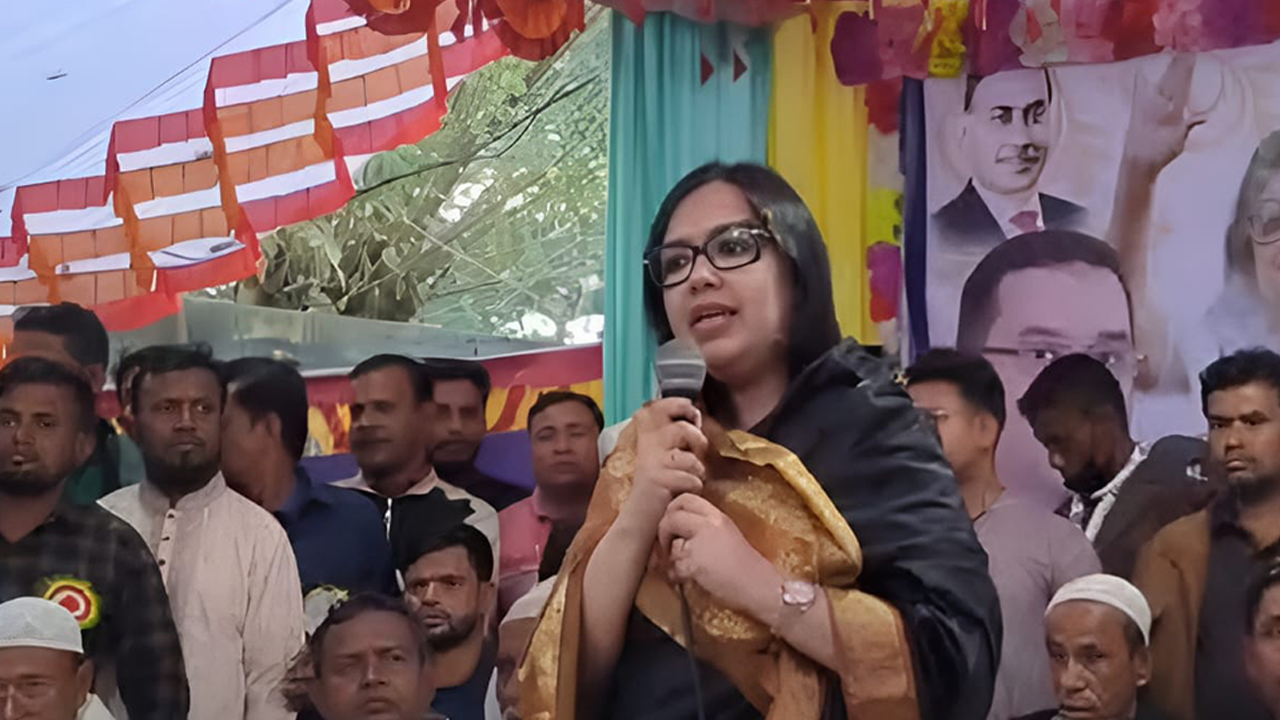 ব্রাহ্মণবাড়িয়ায় মতবিনিময় সভায় বক্তব্য দেন রুমিন ফারহানা। ছবি : কালবেলা