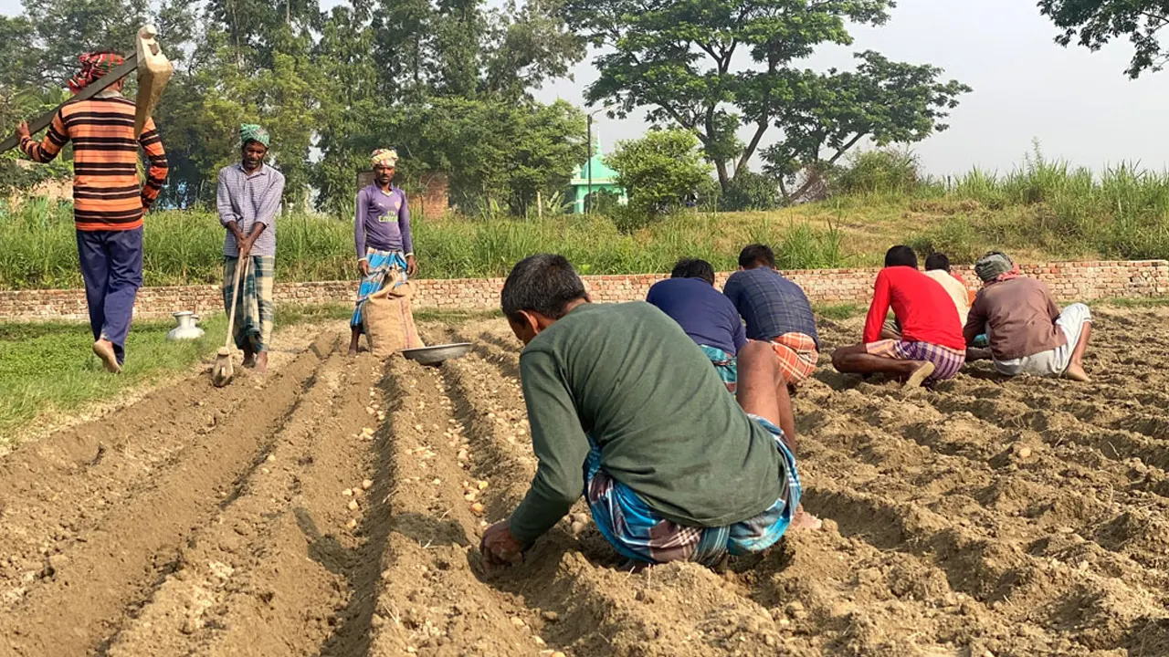 পুরোনো ছবি
