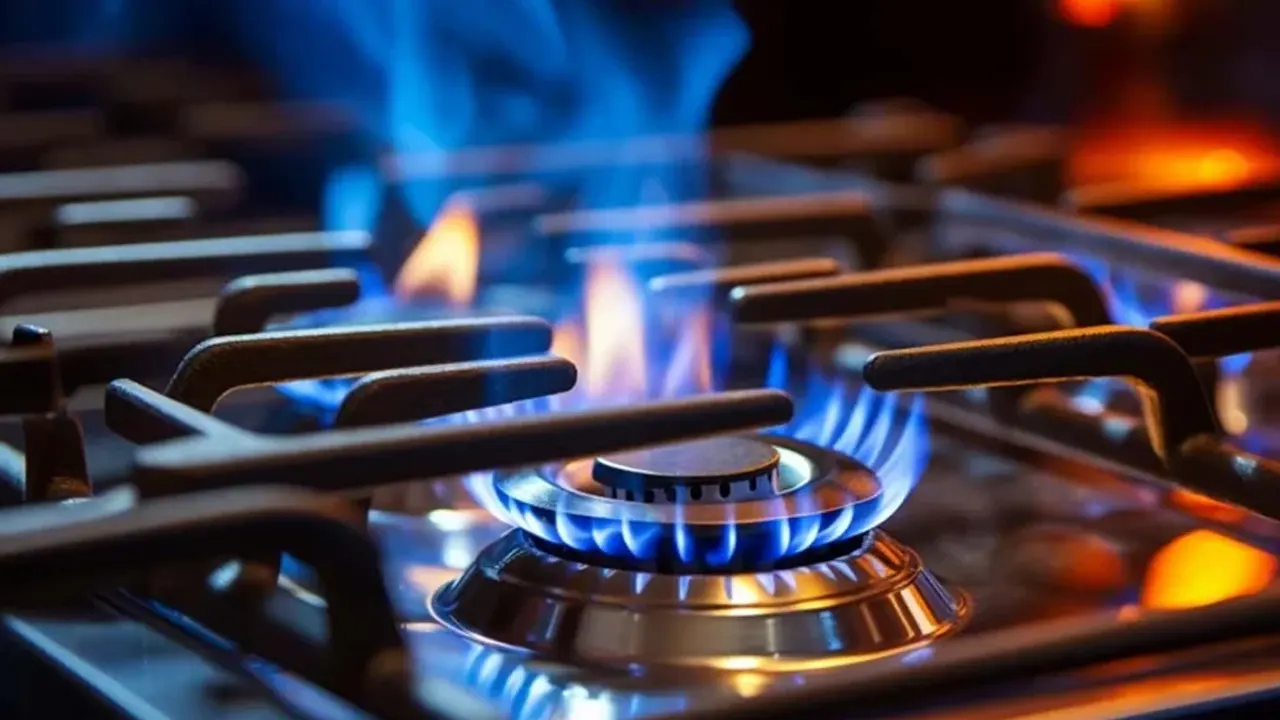 মিটারবিহীন গ্রাহকদের গ্যাসের ব্যবহার যাচাই করবে বুয়েট