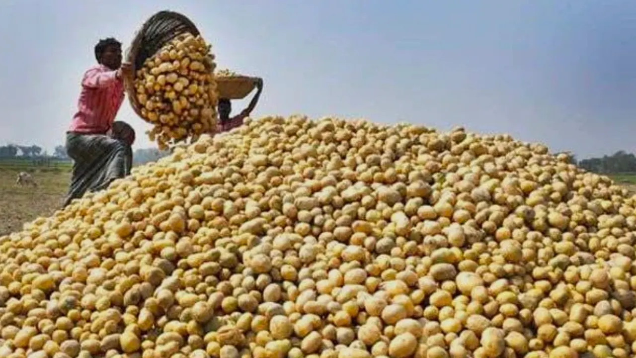 প্রতীকী ছবি