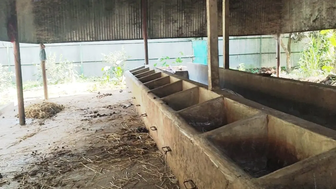 খামারির হাত-পা বেঁধে ১২ গরু লুট   ‎