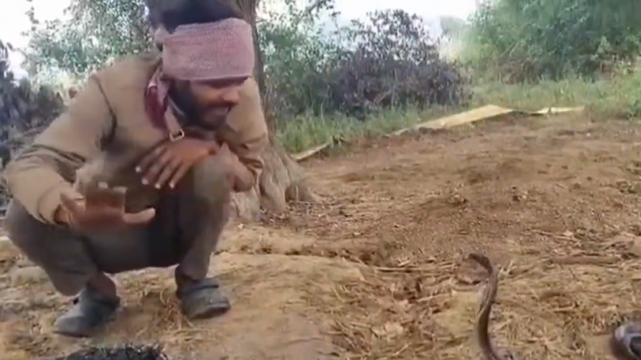 সাপ পাশে রেখে আগুন পোহানোর ভিডিও ভাইরাল