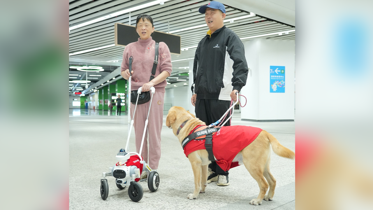 দৃষ্টিহীনদের পথ দেখাচ্ছে রোবট কুকুর