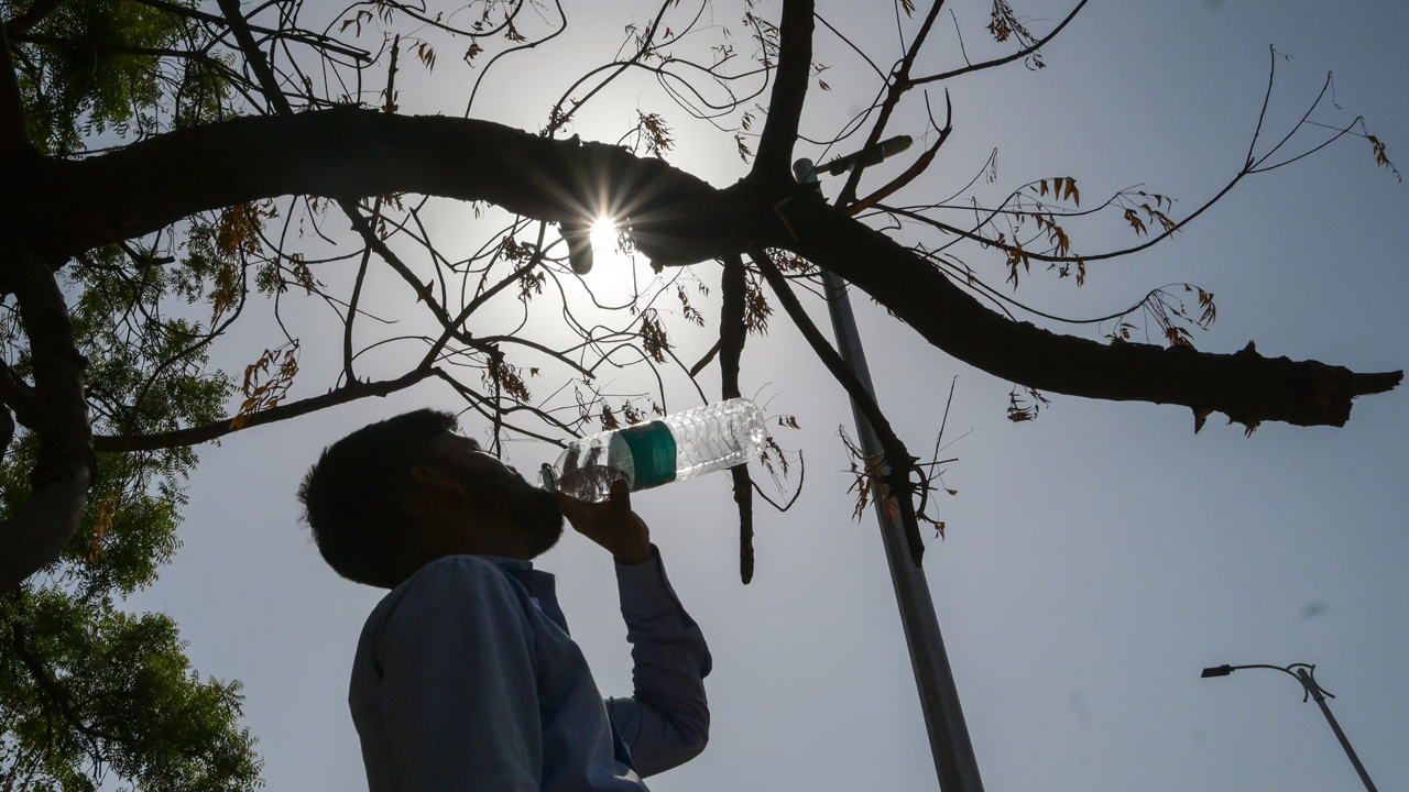 রেকর্ডভাঙা গরমের বছর হতে যাচ্ছে ২০২৬