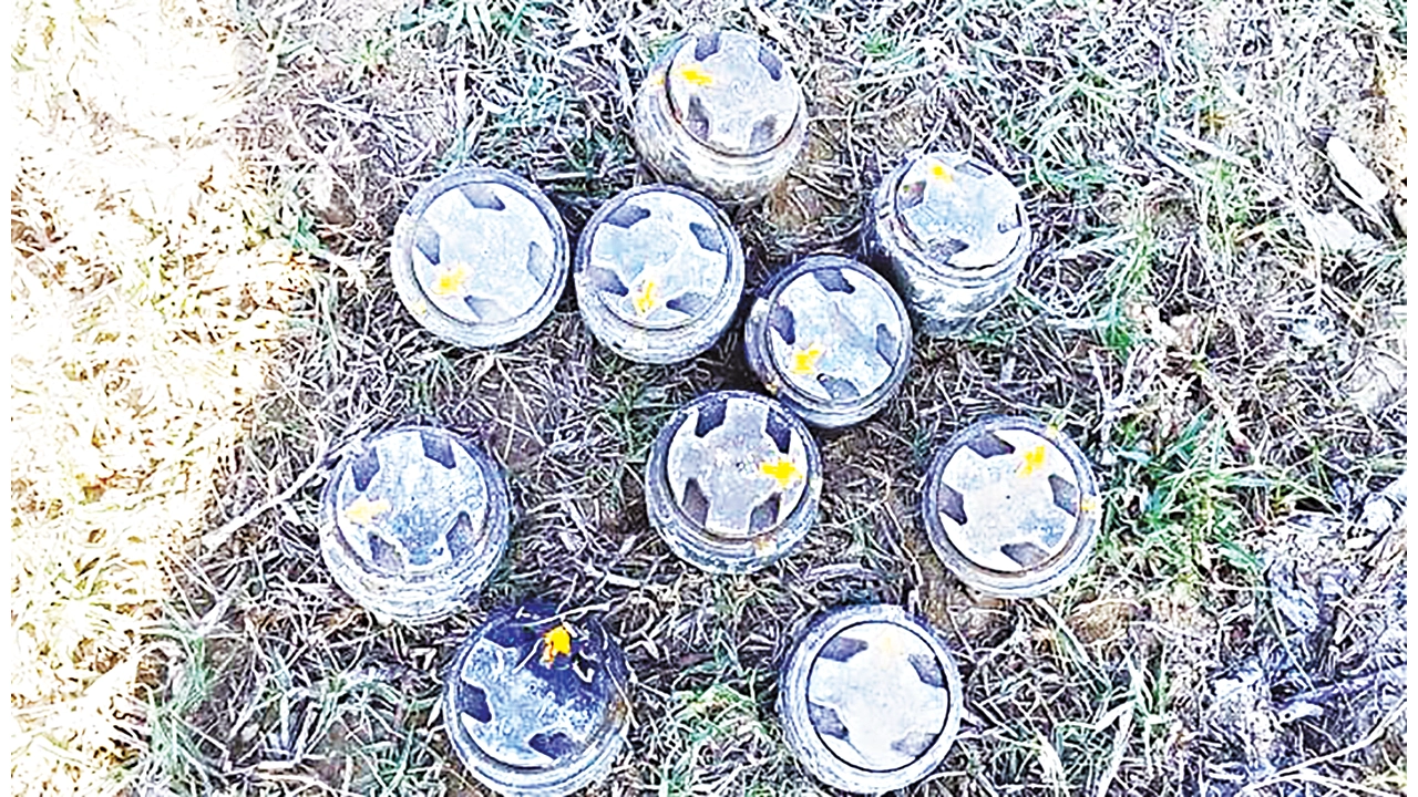 ছবি : কালবেলা