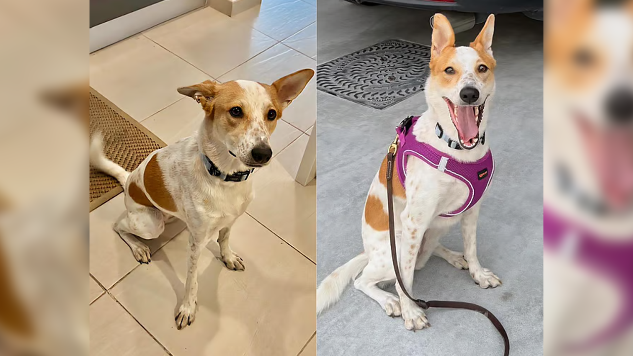 ছবি : সংগৃহীত