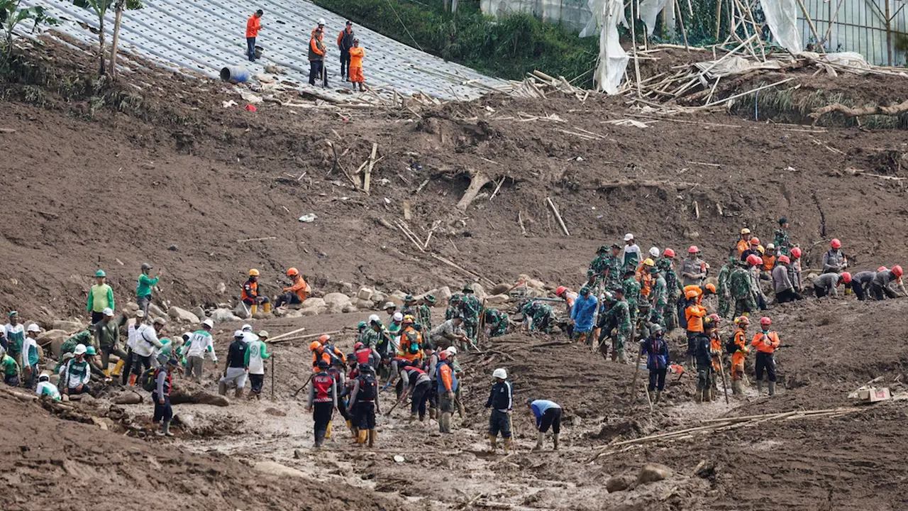 ছবি : সংগৃহীত