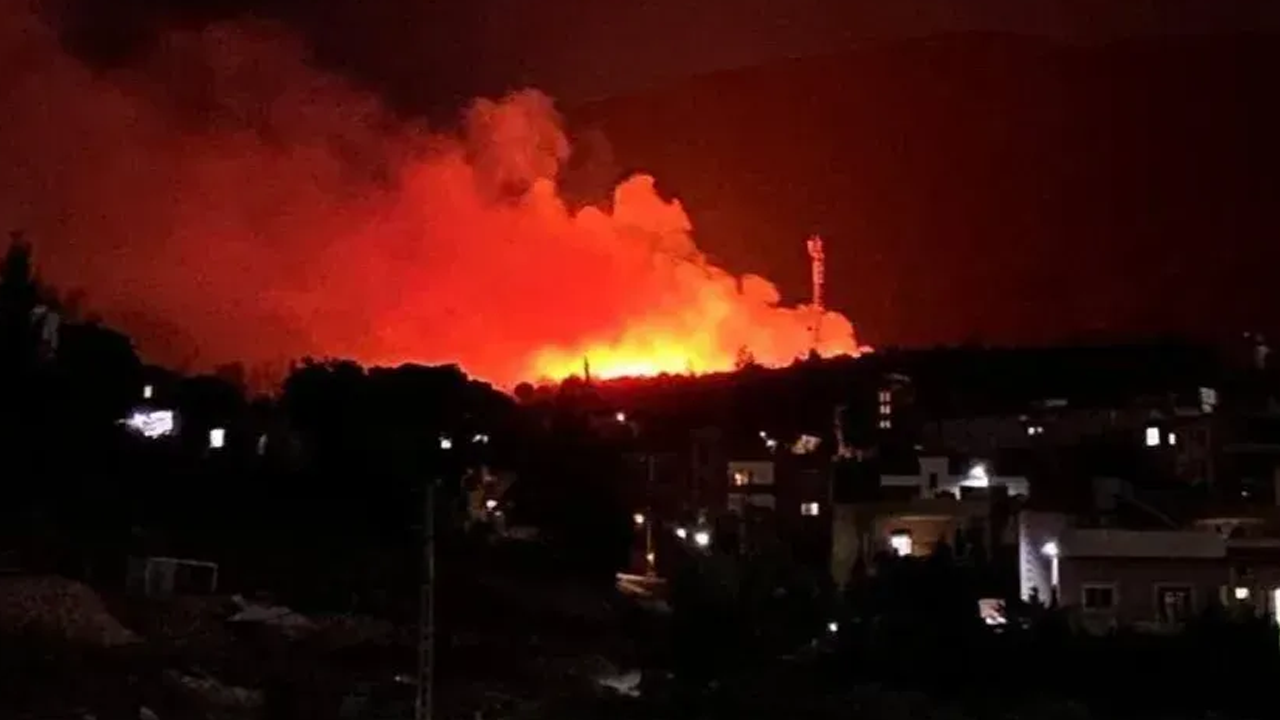 ছবি : সংগৃহীত