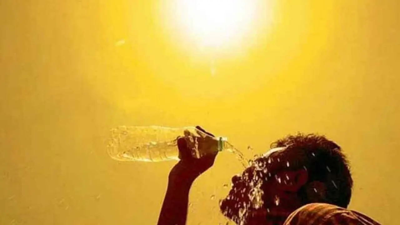 ছবি : সংগৃহীত