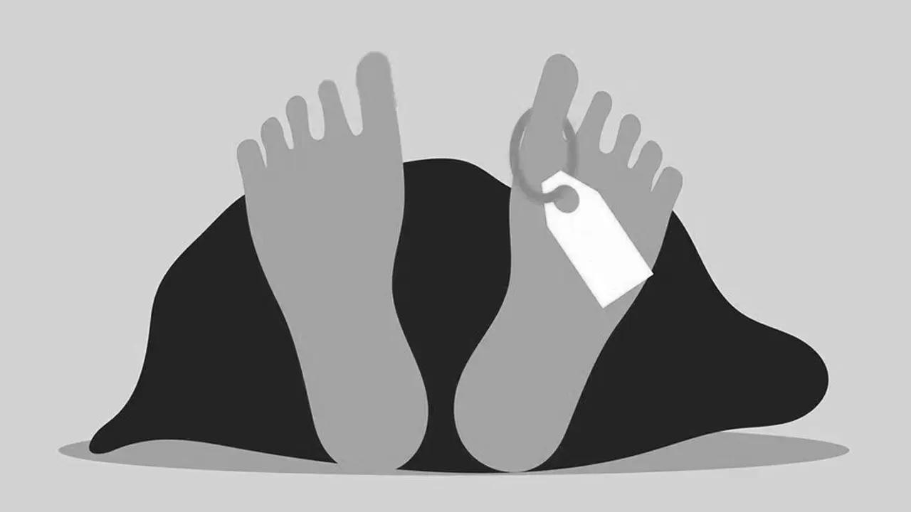 ছবি : সংগৃহীত