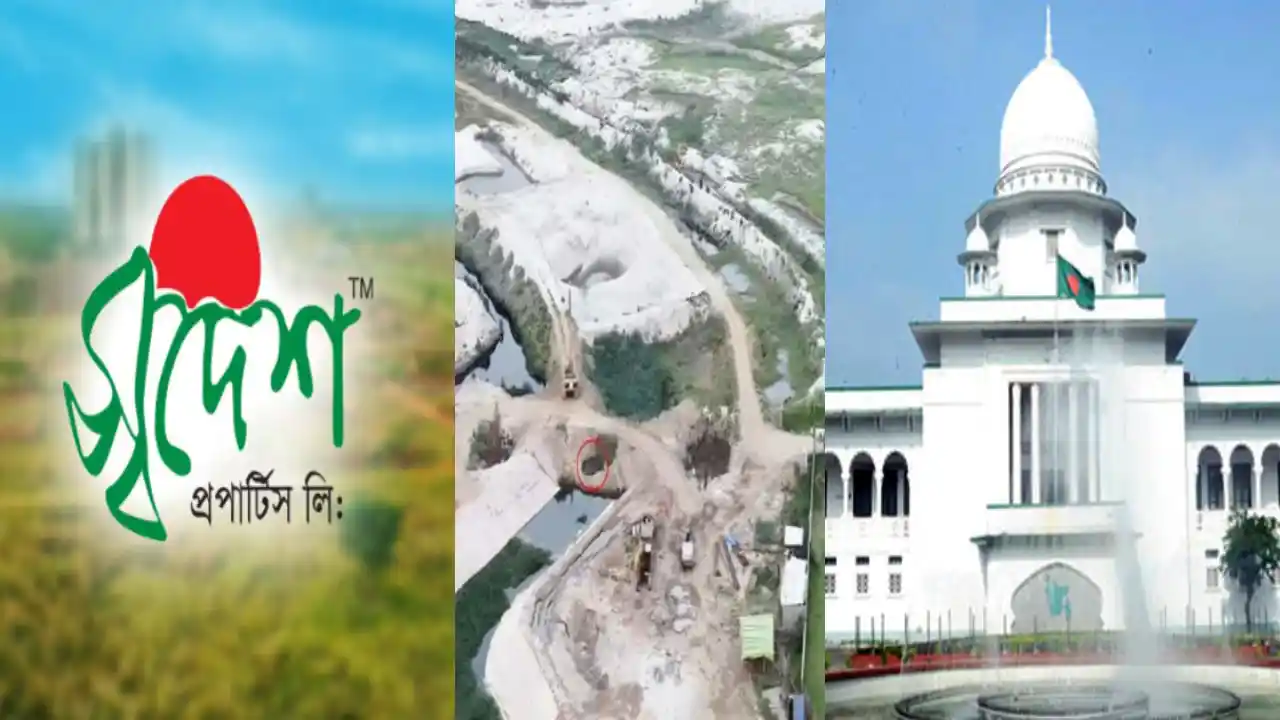 স্বদেশ প্রোপার্টিজের ওপর হাইকোর্টের নিষেধাজ্ঞা