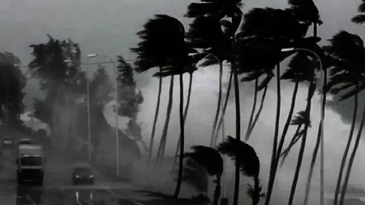 ছবি : সংগৃহীত
