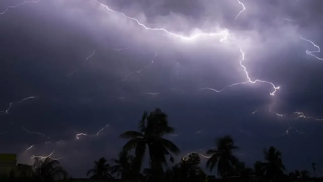 ছবি : সংগৃহীত