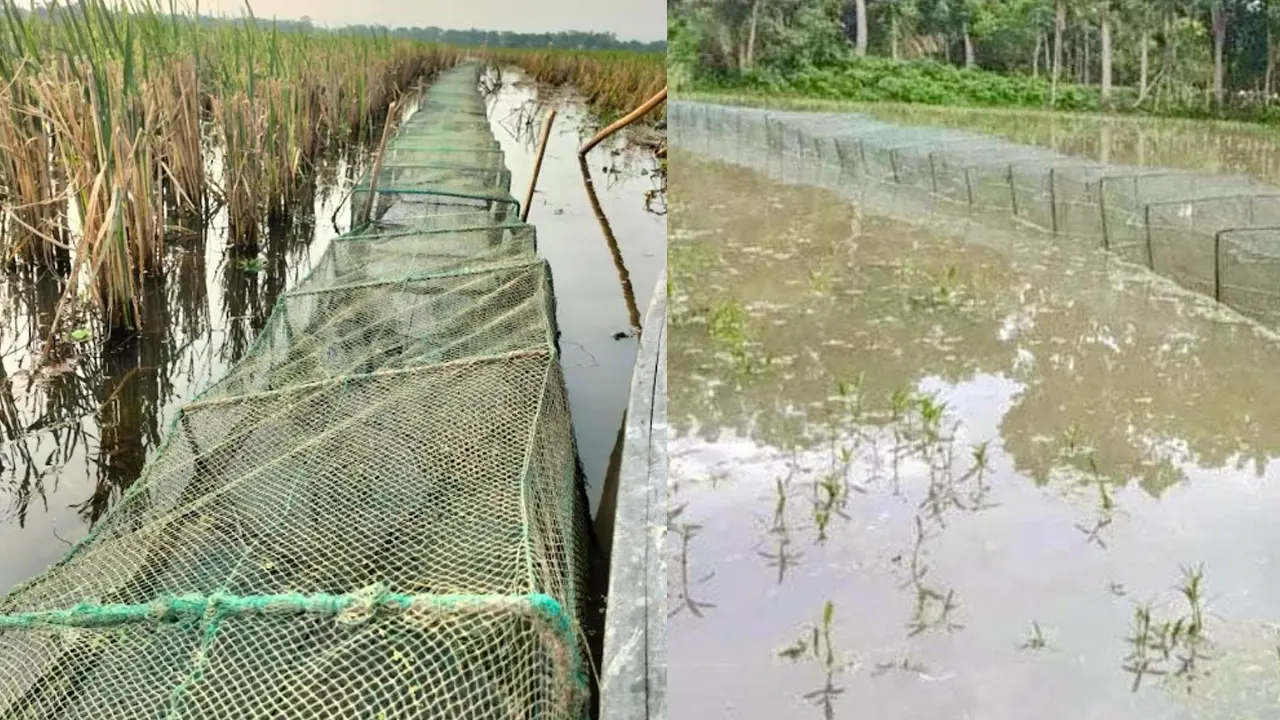 ছবি : কালবেলা