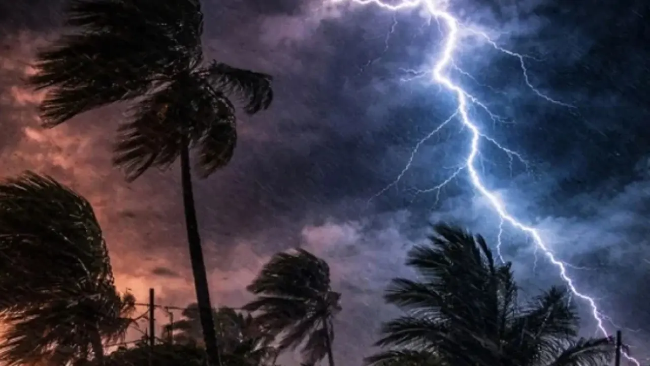 ছবি : সংগৃহীত