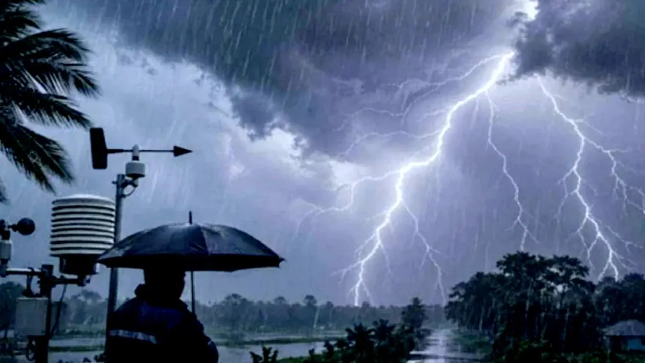 ছবি : এআই দিয়ে তৈরি