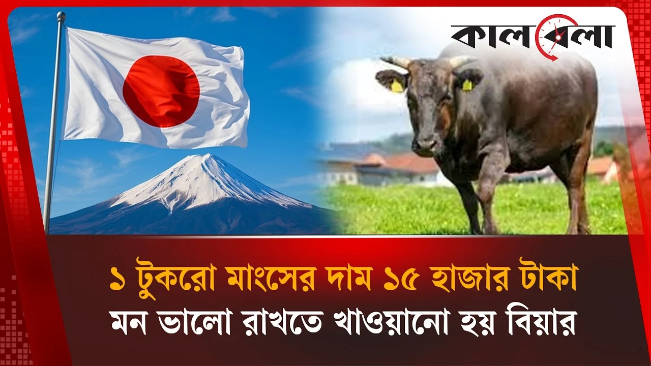 জাপানের ১ কেজি মাংসের দামে বাংলাদেশে পাওয়া যাবে আস্ত গরু