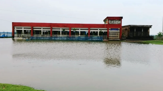 বিদ্যালয়ের মাঠে থৈ থৈ করছে পানি। ছবি : কালবেলা