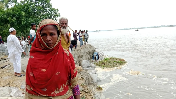 ক্ষতিগ্রস্ত গোলেজা বেগম ও তিস্তার ভাঙন দৃশ্য, ছবিটি শুক্রবার বিকেলে তিস্তার নদীর পানিয়ালঘাট এলাকা থেকে তোলা। ছবি : কালবেলা