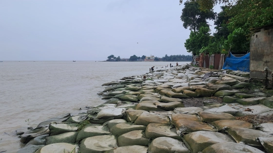 জিও ব্যাগ ফেলে ভাঙন রক্ষার চেষ্টা। ছবি : কালবেলা