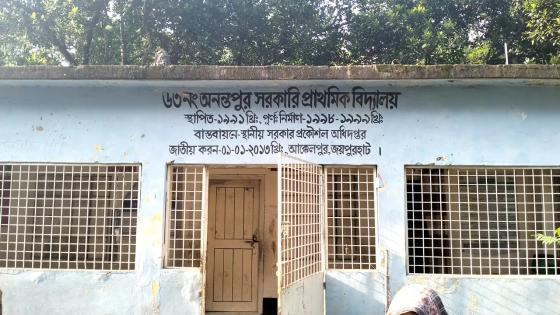 অনন্তপুর সরকারি প্রাথমিক বিদ্যালয়। ছবি : কালবেলা