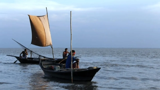 ভরা মৌসুমেও পদ্মা নদীতে মিলছে না কাঙ্ক্ষিত ইলিশ। এতে হতাশ জেলেরা। ছবি : সংগৃহীত