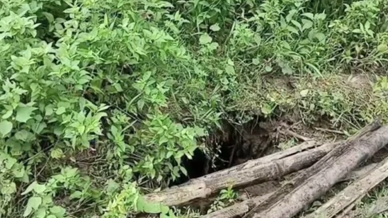 গাইবান্ধায় কবরস্থান থেকে ৩০টি কঙ্কাল চুরি |