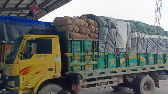 বেনাপোল বন্দর দিয়ে ভারত থেকে পেঁয়াজ আমদানি শুরু। ছবি : কালবেলা