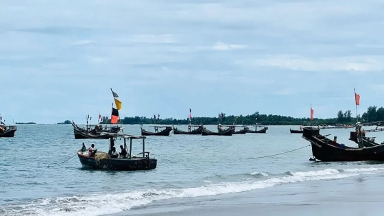 আবারও ১১ বাংলাদেশিকে ধরে নিয়ে গেল আরকান আর্মি |