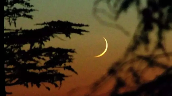 ২০২৬ সালে রোজা শুরু হতে পারে যেদিন থেকে |