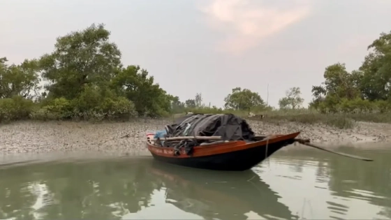 সুন্দরবনে মুক্তিপণের জন্য চার জেলেকে অপহরণ |