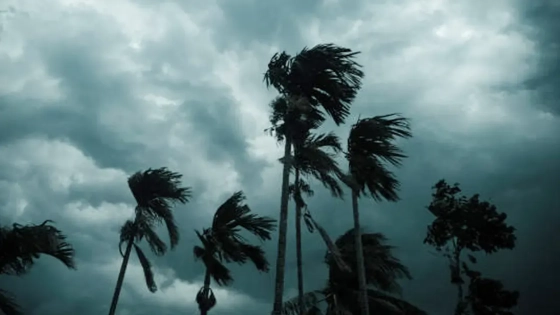 দুপুরের মধ্যে যেসব জেলায় হতে পারে বজ্রবৃষ্টি |