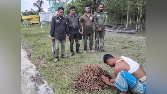 জব্দকৃত ফাঁদ পুড়িয়ে দেওয়া হয়। ছবি : কালবেলা