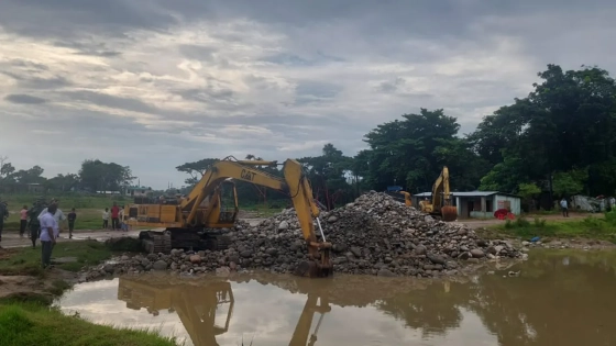 সিলেটের এবার কচুরিপানা ও মাটিচাপা অবস্থায় চারটি পুকুর থেকে পাথর উদ্ধার করা হয়েছে। ছবি : কালবেলা