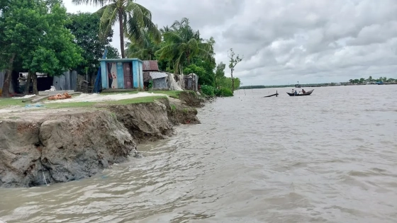 নদীর ভাঙনে কবলে সরকারি আশ্রয়ন প্রকল্প। ছবি : কালবেলা